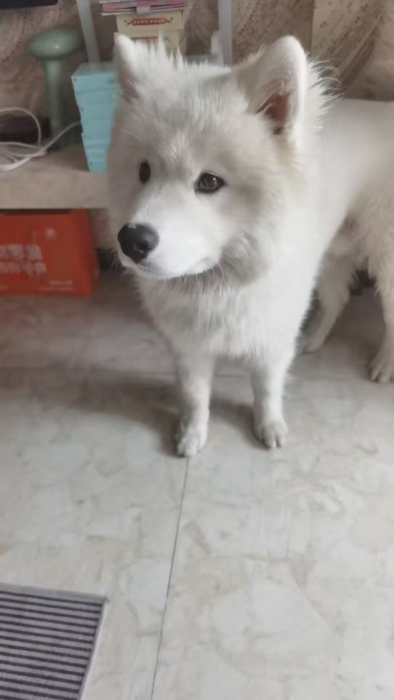 帖子图片