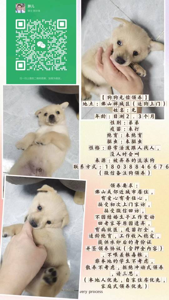帖子图片