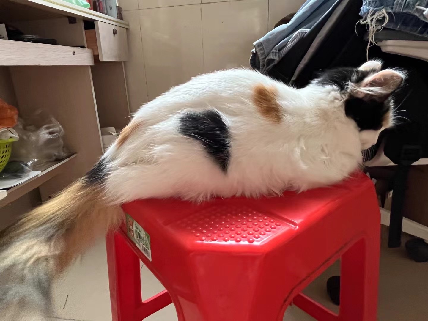 帖子图片