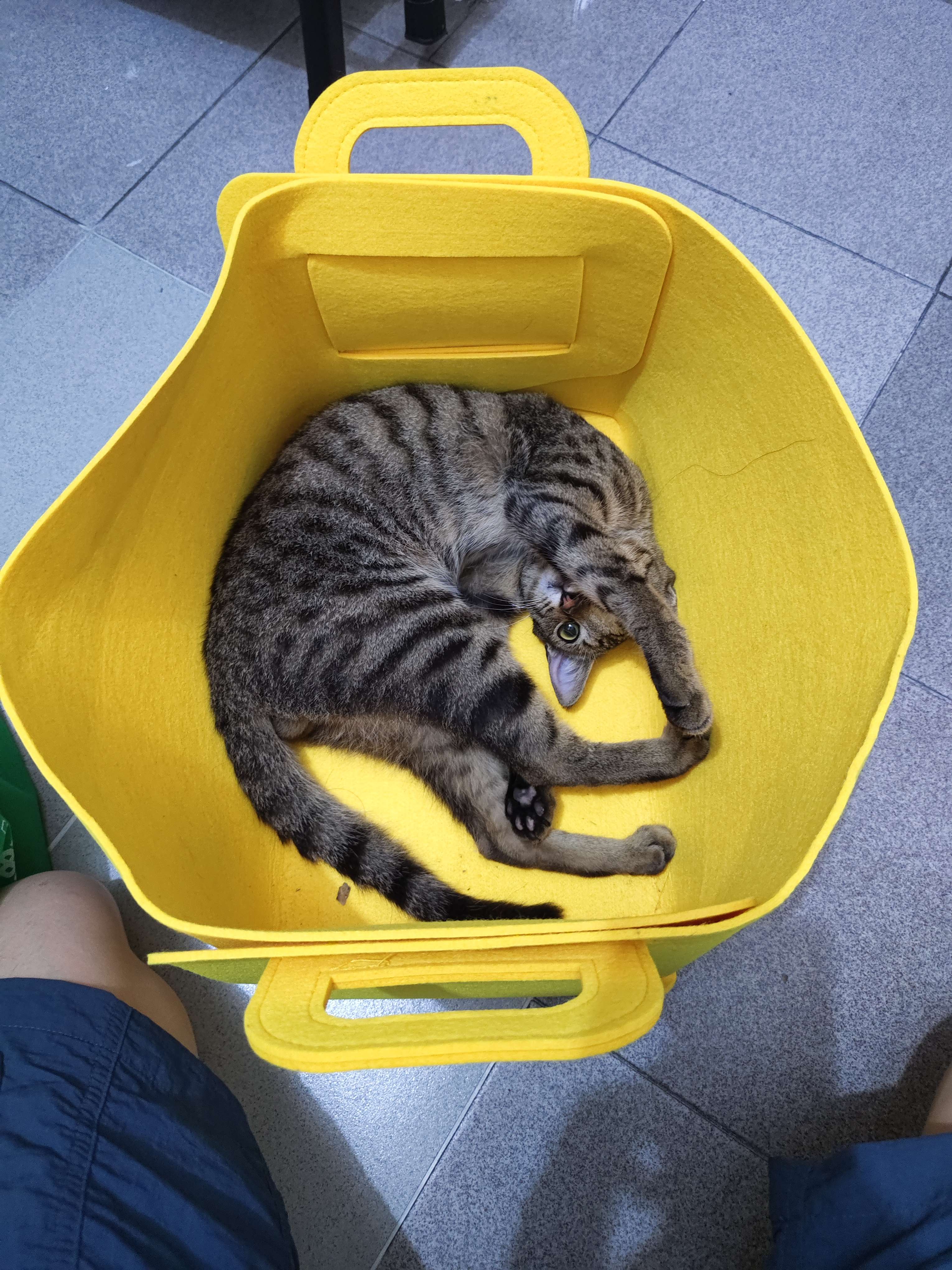 帖子图片