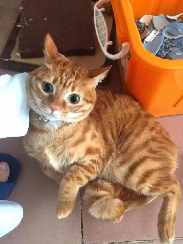 帖子图片
