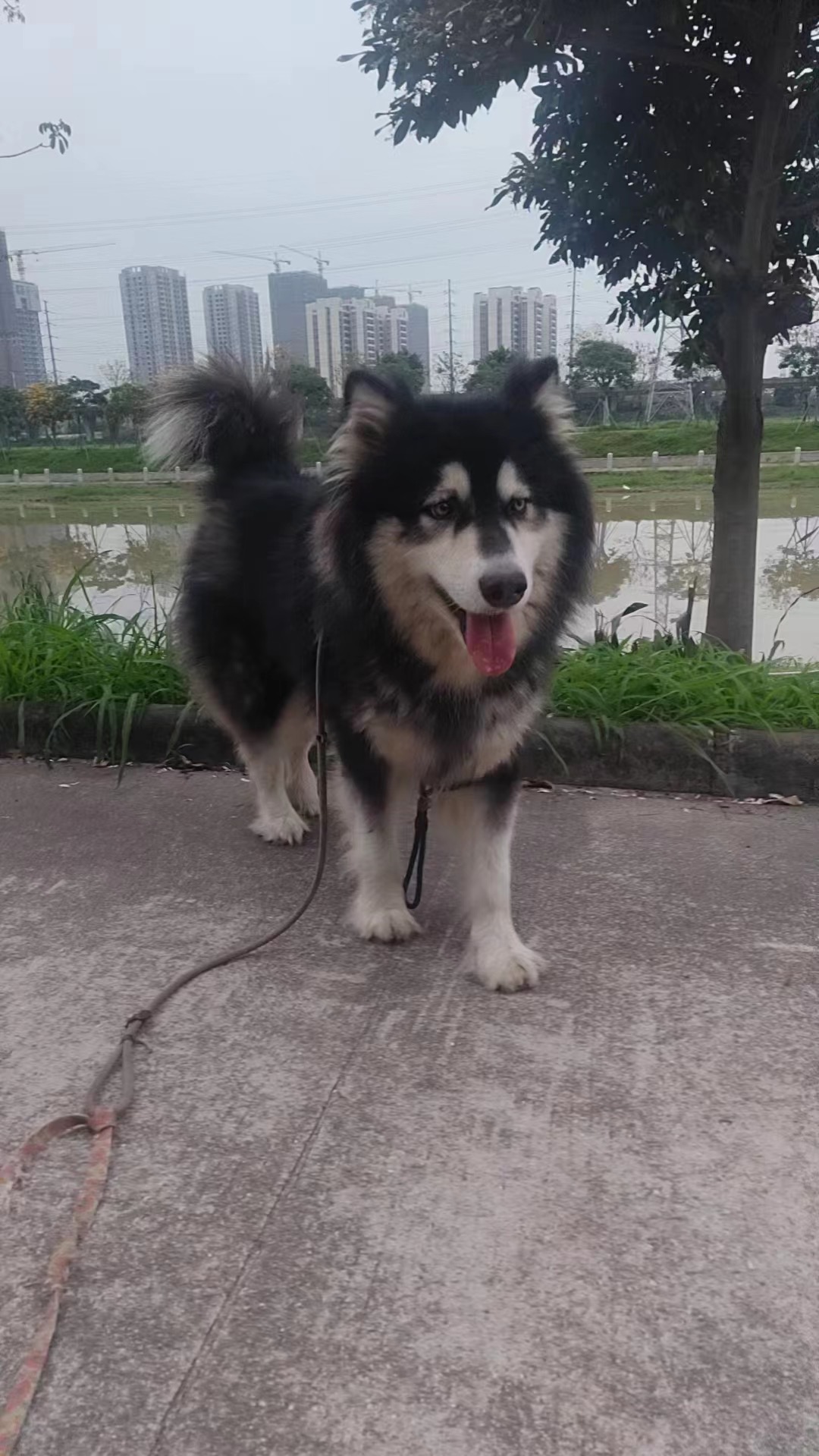 帖子图片