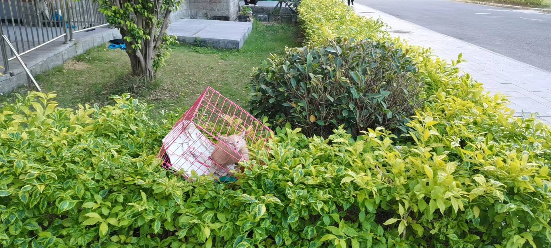 帖子图片