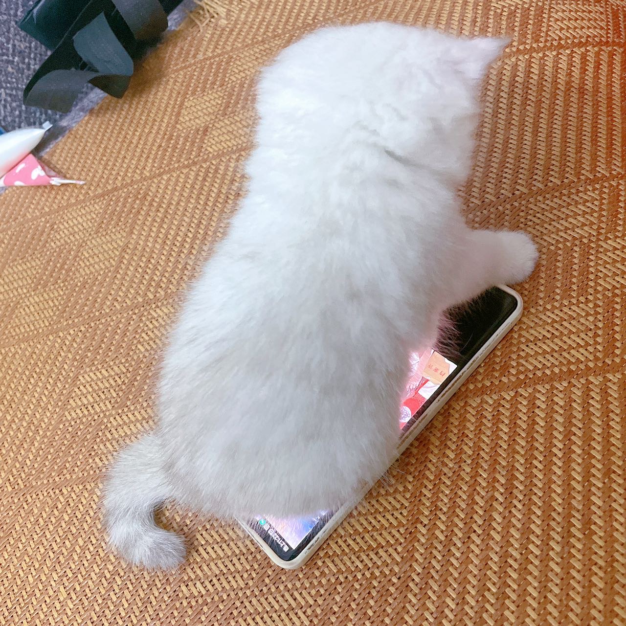 帖子图片