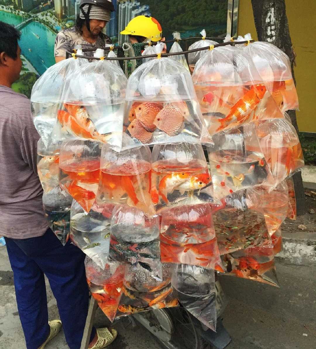 帖子图片